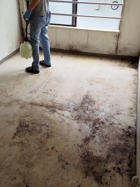 アパート集合住宅2階部分・1ルームの遺品整理及び特殊清掃【遺品処理センター 北海商事】